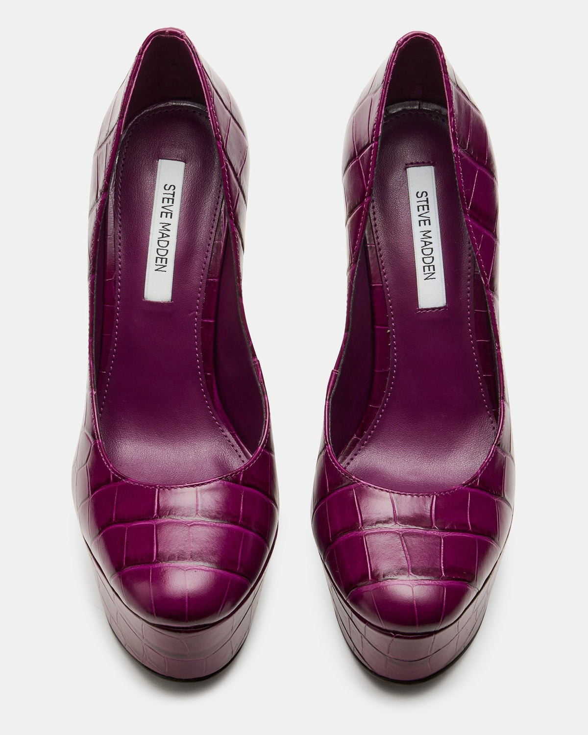 SILENE PURPLE CROCODILE